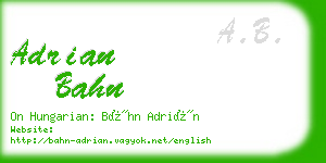 adrian bahn business card